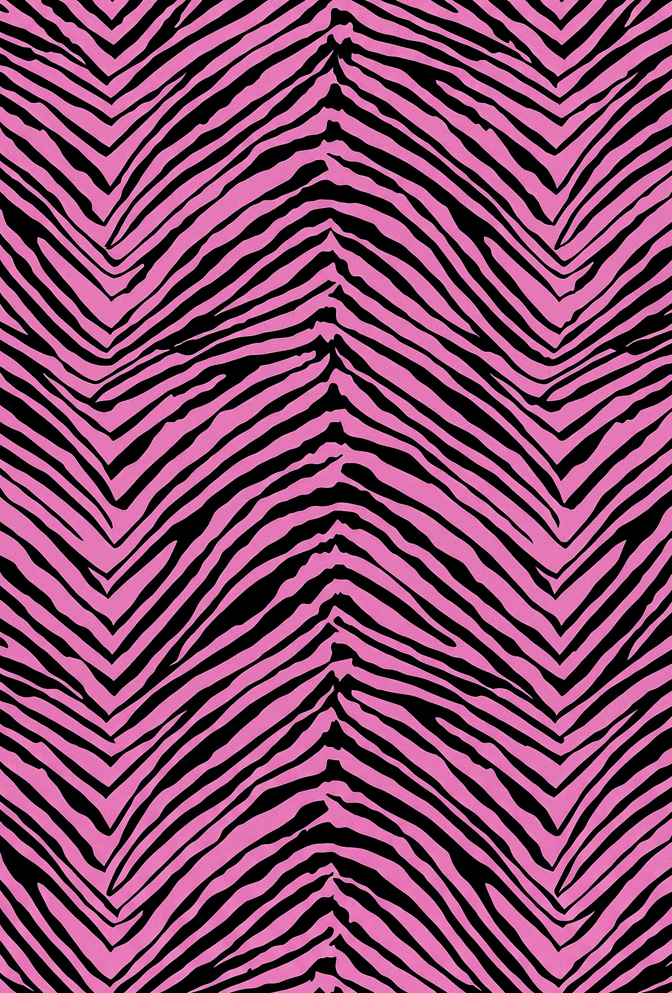 Close-up detail of Isabella Kron Savana zebra print pareo in pink and black luxury resortwear fabric.
