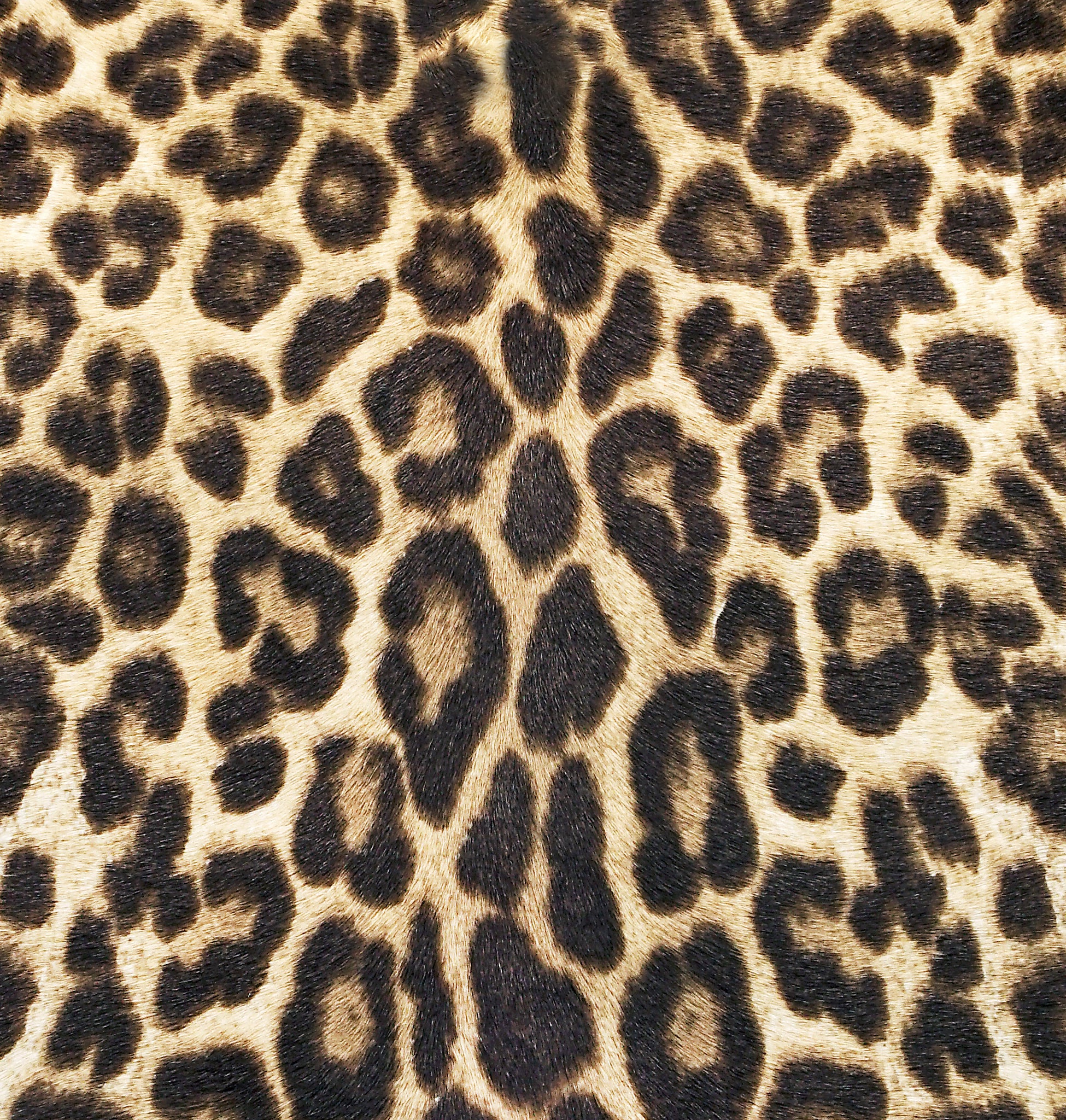 Close-up of Ibbie Bag in leopard print – detailed texture